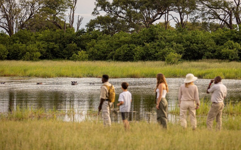 10 Day Chobe, Delta & Kalahari Safari Feline Lodges